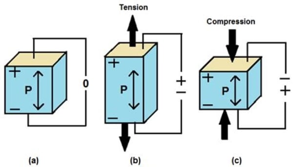 Different piezoelectric responses to applied mechanical stress