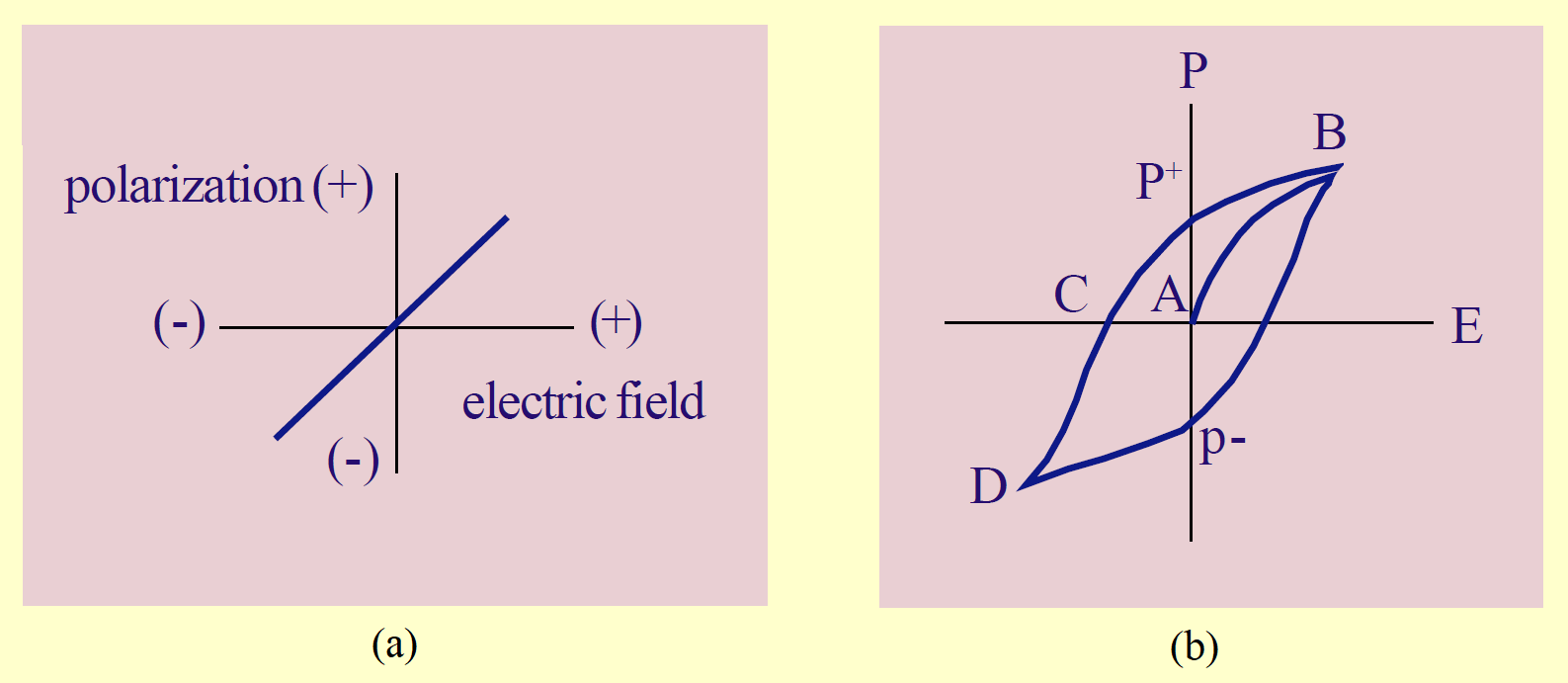 polarization of linear vs ferroelectric dielectrics