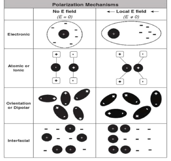 Four types of polarization mechanisms